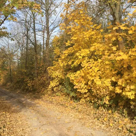 Am Kyffhauser Келбра