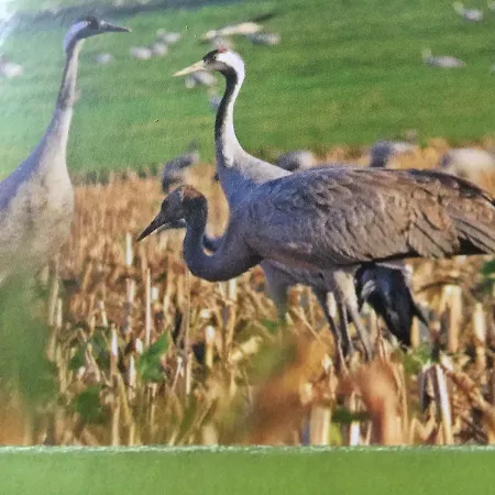 Am Kyffhauser Casa de Férias *