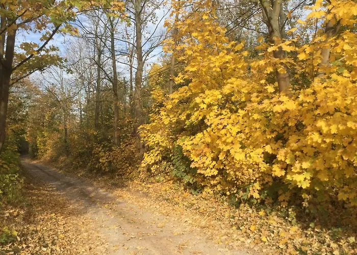 Am Kyffhauser Kelbra